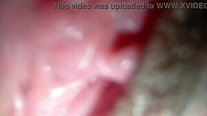 Shaved Pussy Creampie Fuck