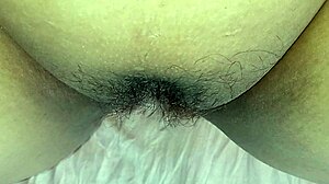 Amateur Hairy Pussy Display