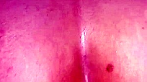 delicia chuparla toda