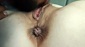 Mamma Bunny Ravishing