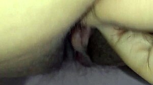 Amateur Hairy Pussy Display