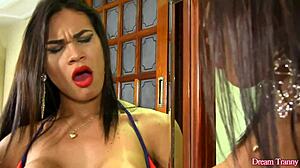 Latina Tranny Strokes