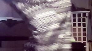 huge ass anal workout