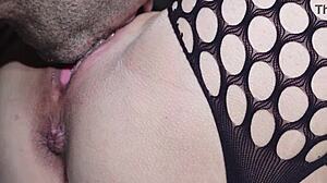 Gentle Licks Release