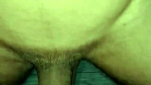 Novinha's Warm Quickie