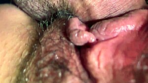 Sexo Misteriosa Milf Motel