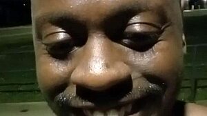 Anal Celebration Return