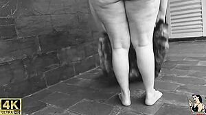 arab bbw jury trailer