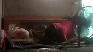 Bold Secretary Raise