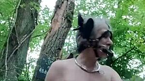 Ponygirl Forest Adventure