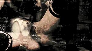 vintage erotic confessions