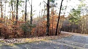 Clitlicker Update Drop!