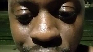 Anal Celebration Return