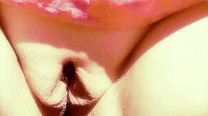 Pleasure Bags Display