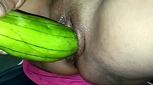 girlfriend blowjob cum session