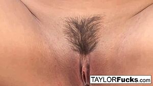 Taylor Vixen Country Solo