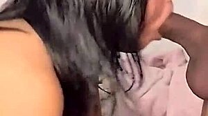 Tampico brunette fucked