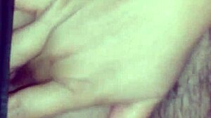 Evening Video Recording