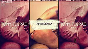 Tirando Leite Trailer