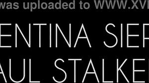 Stars Dive Essentials