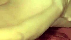 Tampico brunette fucked