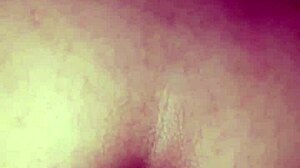 Unexpected Neighbor Passion