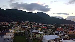 Maxine sunbathes wet