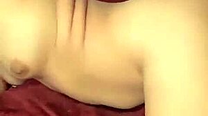 Tampico brunette fucked