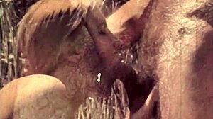 Victorian Erotic Confessions