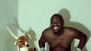 Zodiac Patience Display