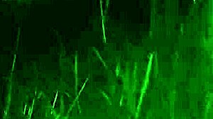 Cute jungle encounter