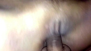 shaved pussy creampie