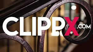 Seth Gamble's Intense Trip