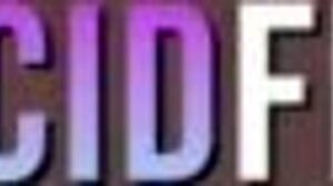 Interracial Riding Fun