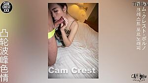 photographer pleasures cock