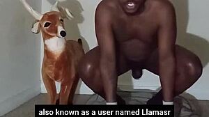 Zodiac Patience Display