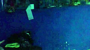 Escap� Para Follar Vecino