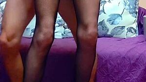 Hard Stockings Entry