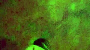 Kongkek Sofa Indonesia Liar