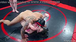 Sexual supremacy match