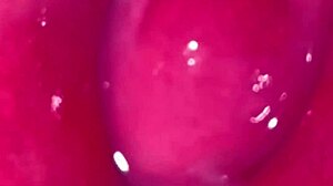 First Virgin Sex Thrill!