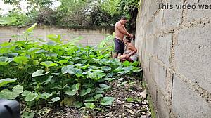 corrida facial mexicana