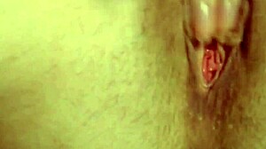 Shaved Pussy Compilation?