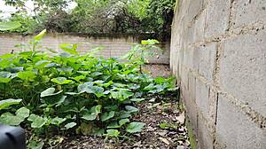 corrida facial mexicana