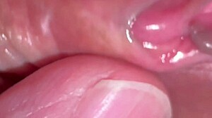 First Virgin Sex Thrill!