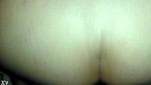 Pawg Interracial Doggystyle