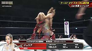 Stardom Championship Match