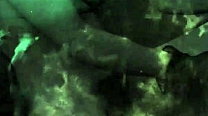 Vintage Hairy Display