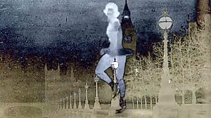 Vintage Hairy Display