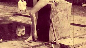 Vintage Hairy Display